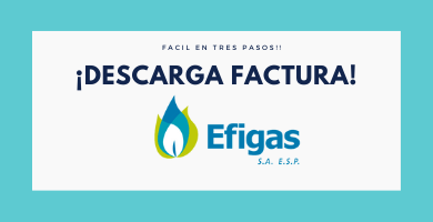 EFIGAS-FACTURA